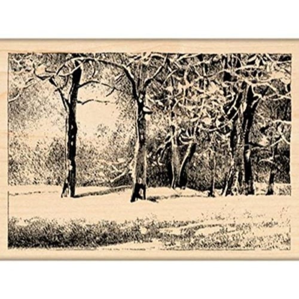 Penny Black 010676 Snowy Park Mounted Rubber Stamp NWT 3" X 4.25"